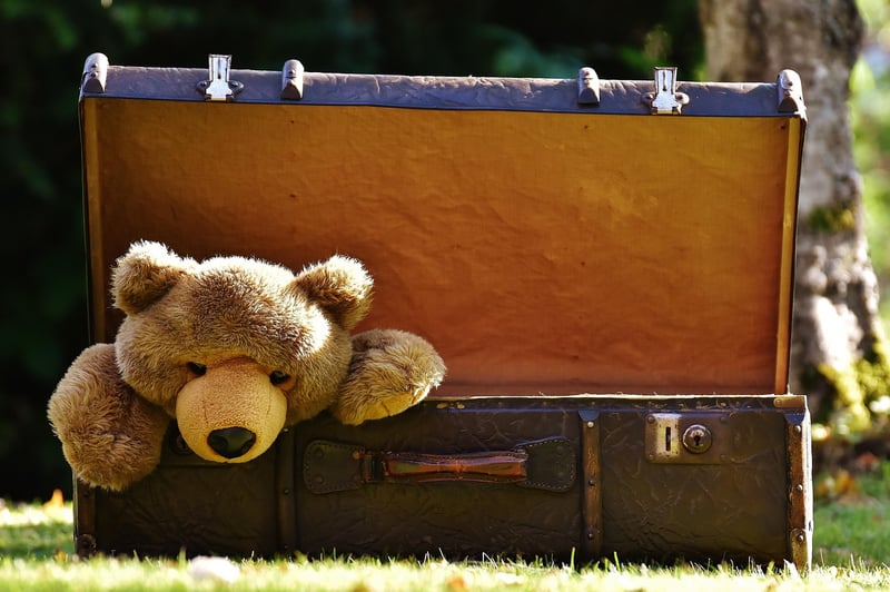 Adventure awaits